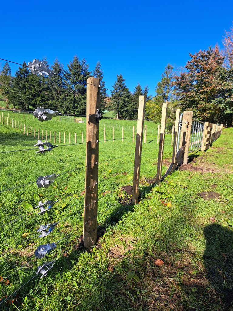 Post and batten stock fence with strainer post and wire, Rotorua lifestyle block