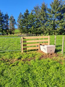 Water trough installed in a newly fenced paddock, Rotorua lifestyle block