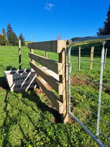 Farm gate hung on a strainer post at a paddock entrance near Rotorua