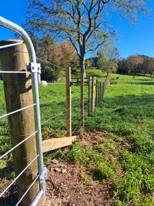 Post and batten stock fence with wire, built on a Rotorua lifestyle block