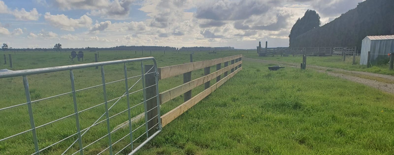 straight 3 rail fence in paddock